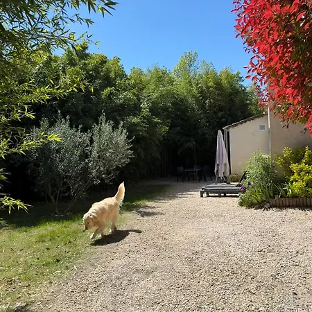 Renove Avec Jardin Prive Et Cloture *